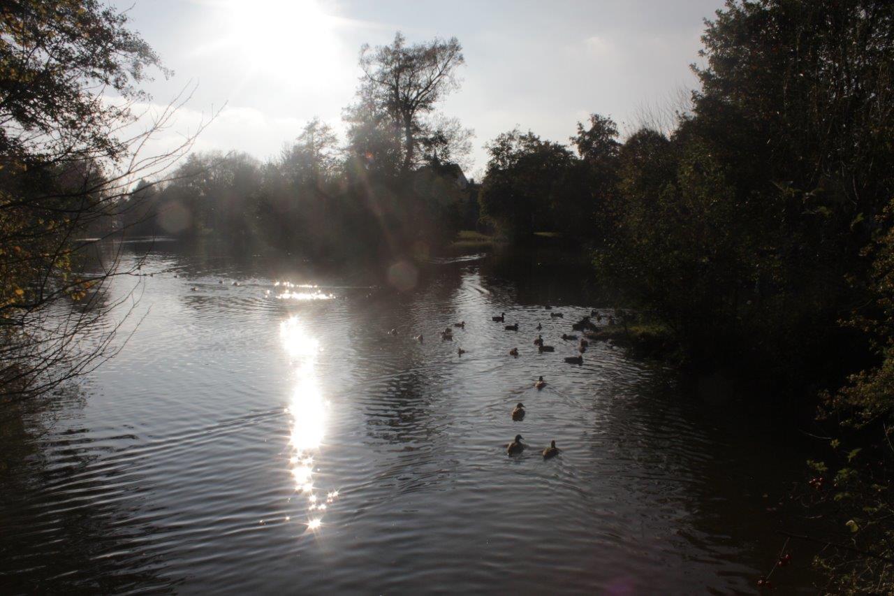 Stadtweiher Hilpoltstein