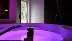 Wellness